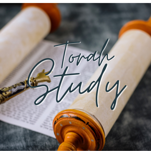 Torah Study with Andrea McNellis